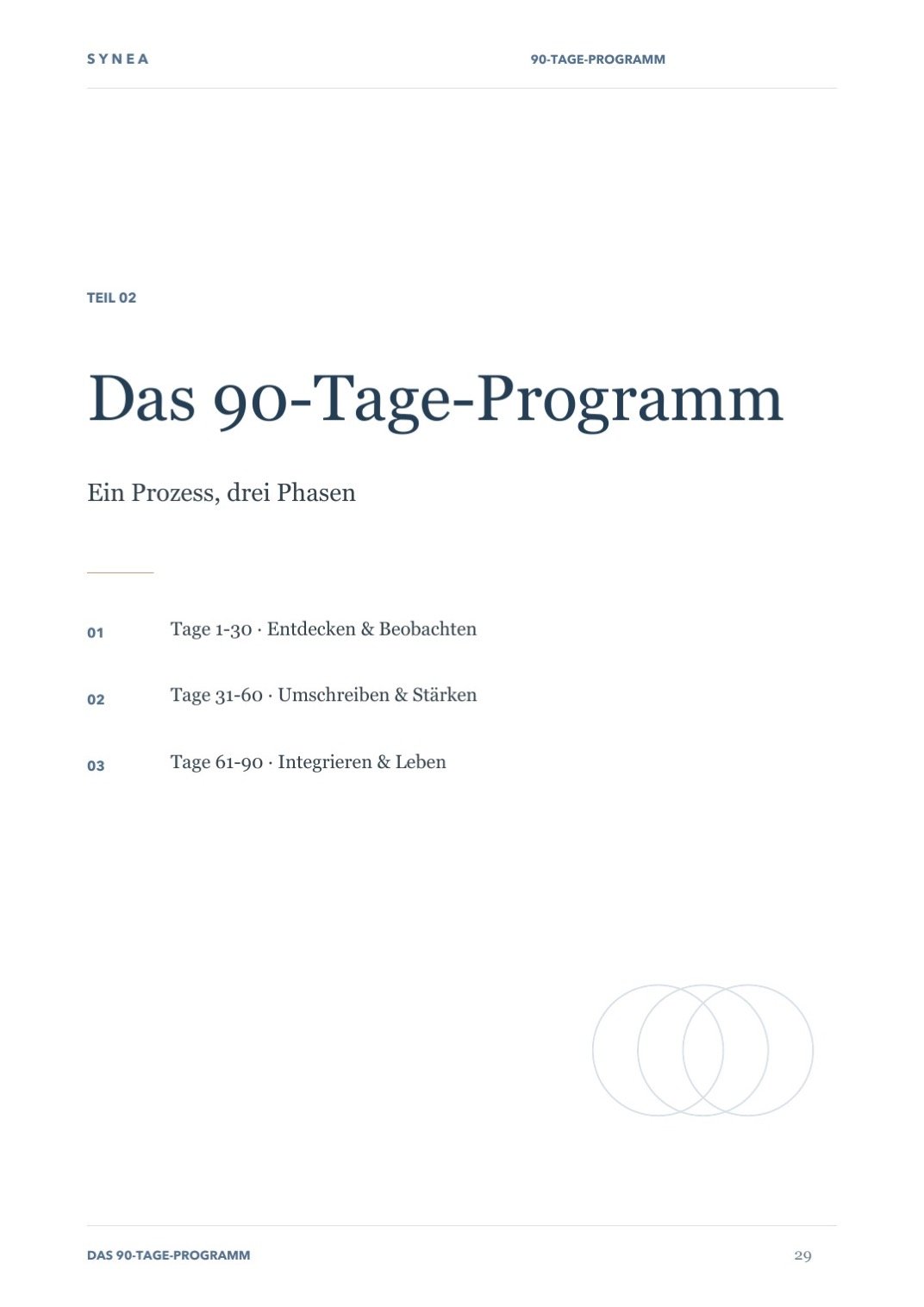 Innenseite des Buches mit dem 90-Tage-Programm und den drei Phasen der SYNEA-Methode